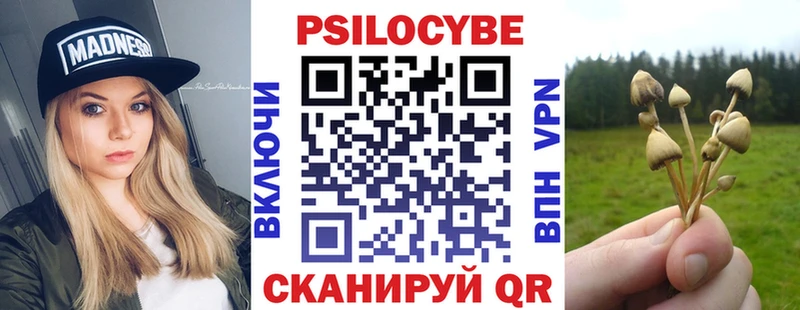 купить наркоту  Невьянск  Галлюциногенные грибы Psilocybe 